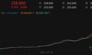 太疯狂！全球唯一一只薄荷色LABUBU拍出108万元，买家还要付16.2万元的佣金！泡泡玛特股价再创新高，年内已涨191%